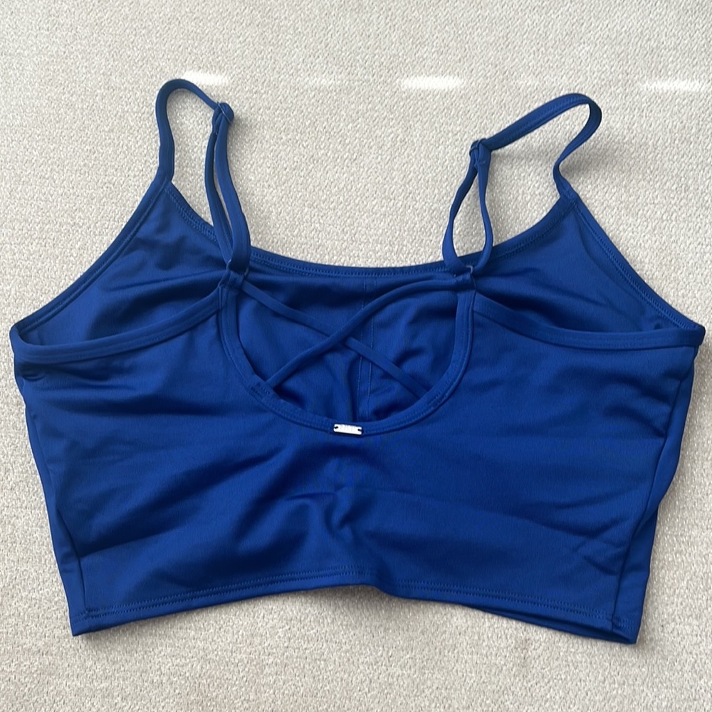 COPY - PINK Victoria's Secret Blue Crop Top